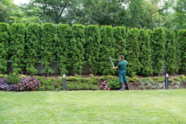 Best Lawn Irrigation Installation and Maintenance  in Zion, PA