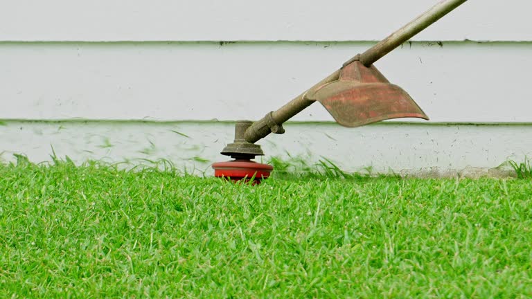 Best Aeration Services  in Zion, PA