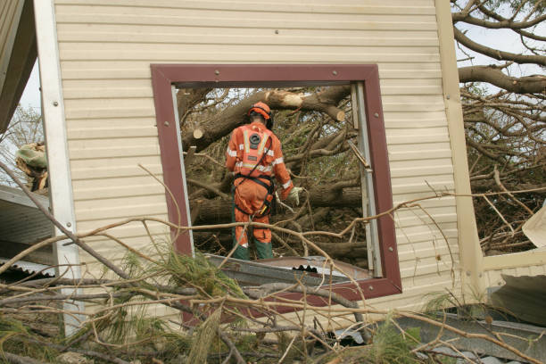 Best Tree Mulching  in Zion, PA